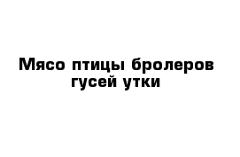 Мясо птицы бролеров гусей утки 